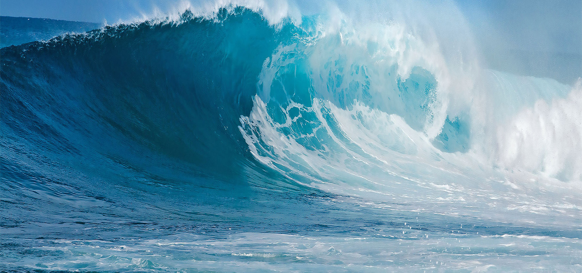 元含万象、万象海洋之神hy590